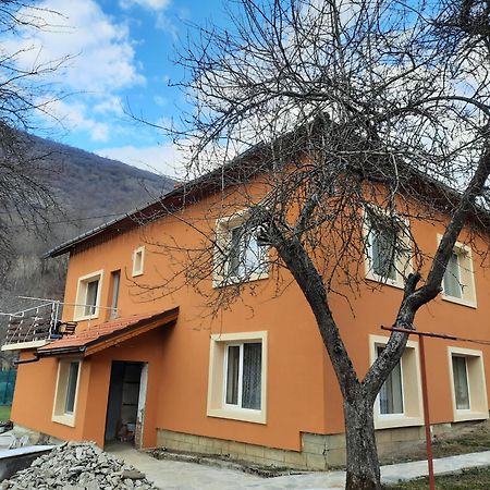 Guest House Lazar Raykov Ribaritsa Dış mekan fotoğraf