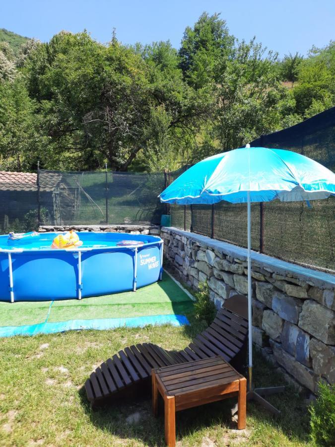 Guest House Lazar Raykov Ribaritsa Dış mekan fotoğraf