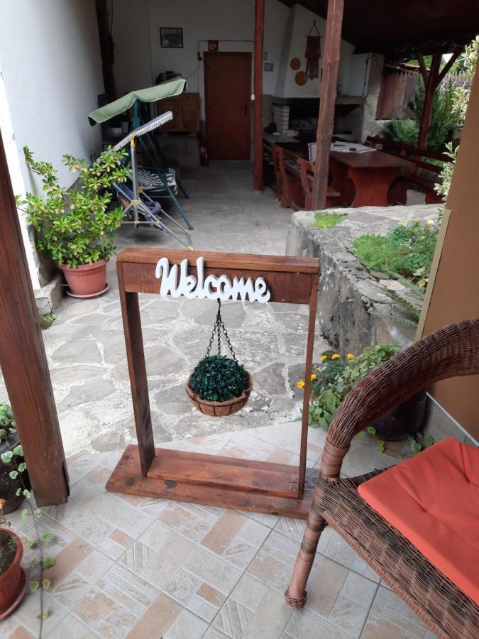 Guest House Lazar Raykov Ribaritsa Dış mekan fotoğraf
