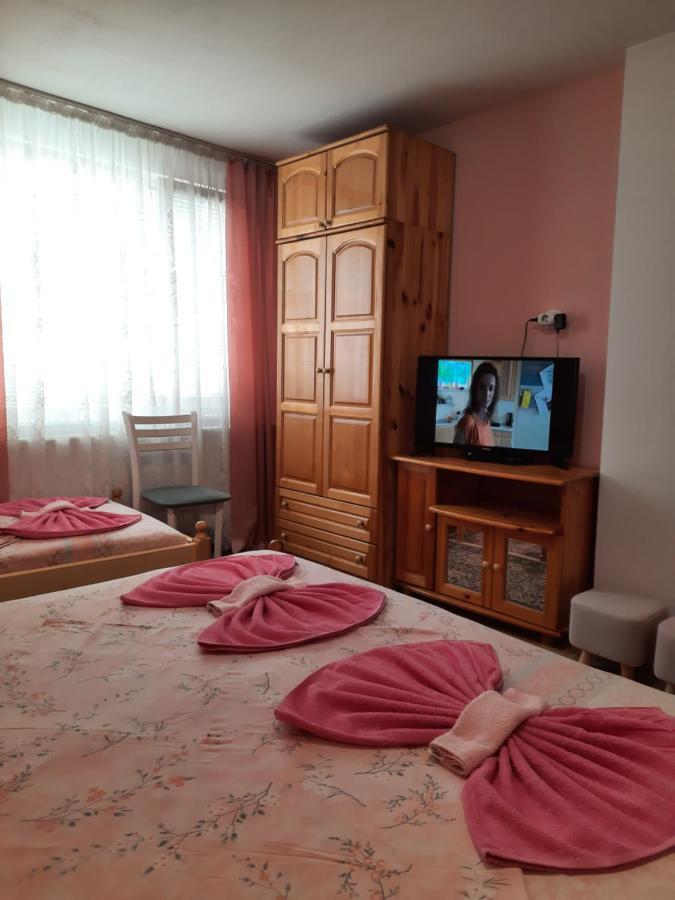 Guest House Lazar Raykov Ribaritsa Dış mekan fotoğraf