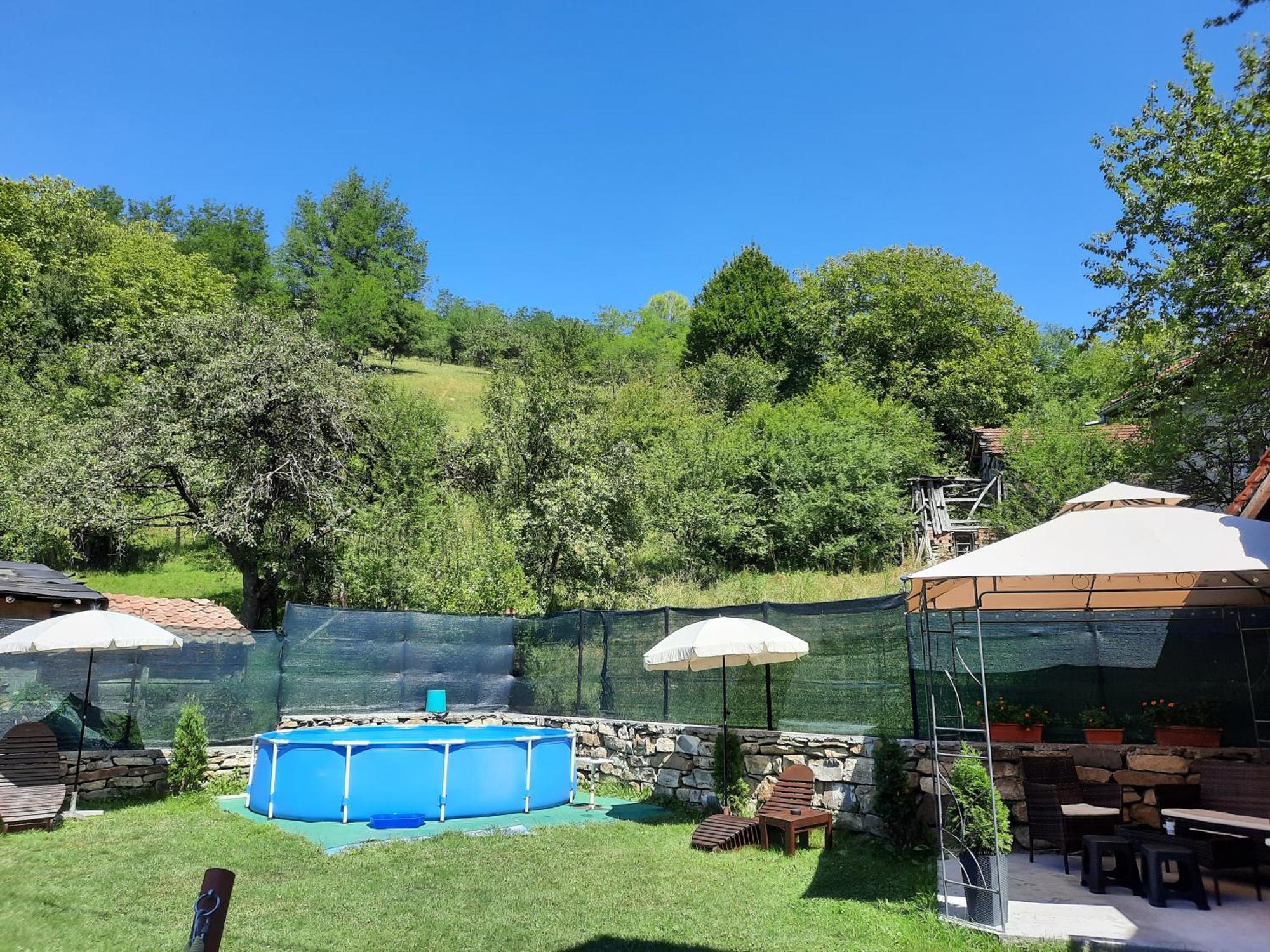 Guest House Lazar Raykov Ribaritsa Dış mekan fotoğraf