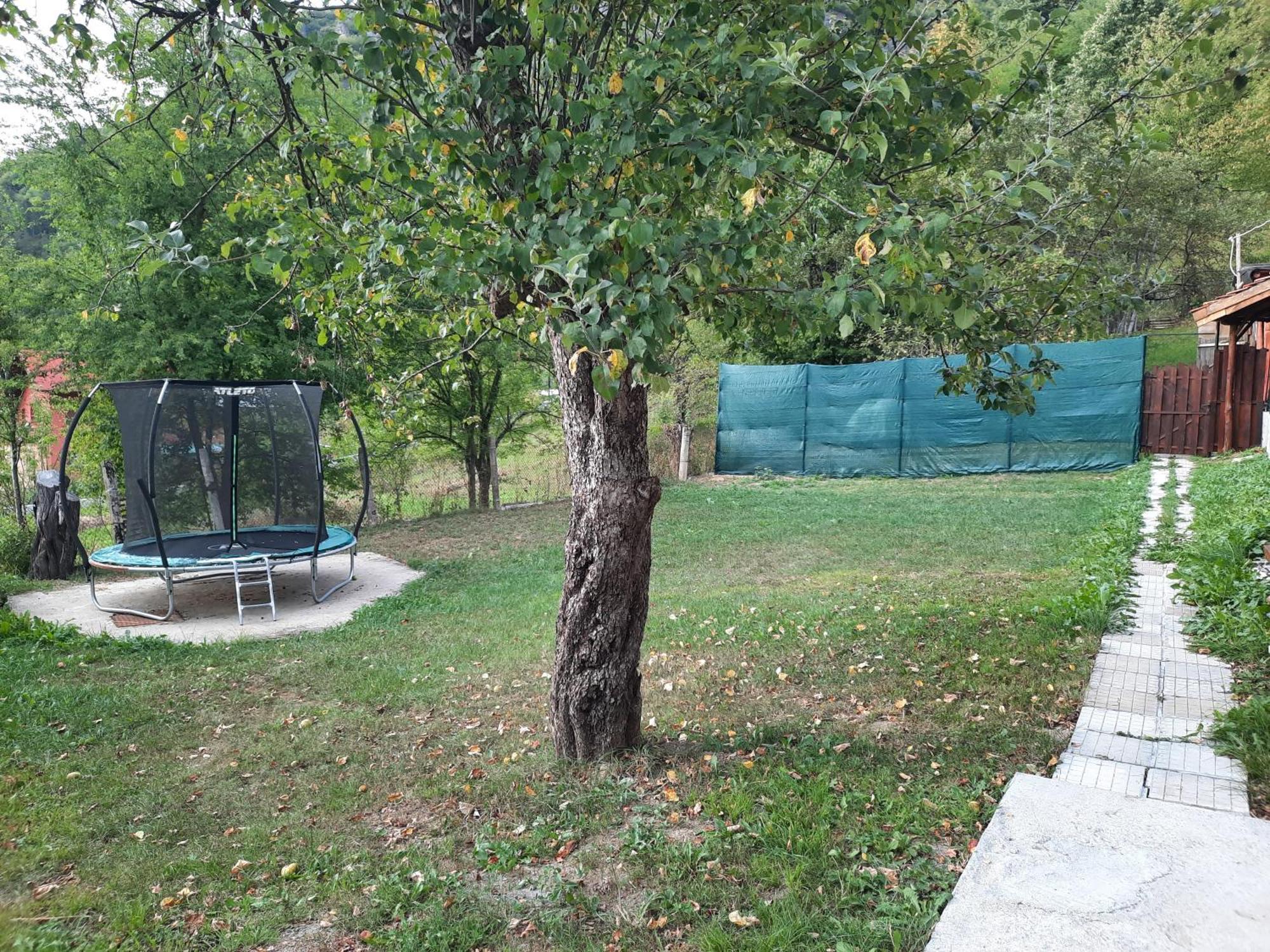 Guest House Lazar Raykov Ribaritsa Dış mekan fotoğraf