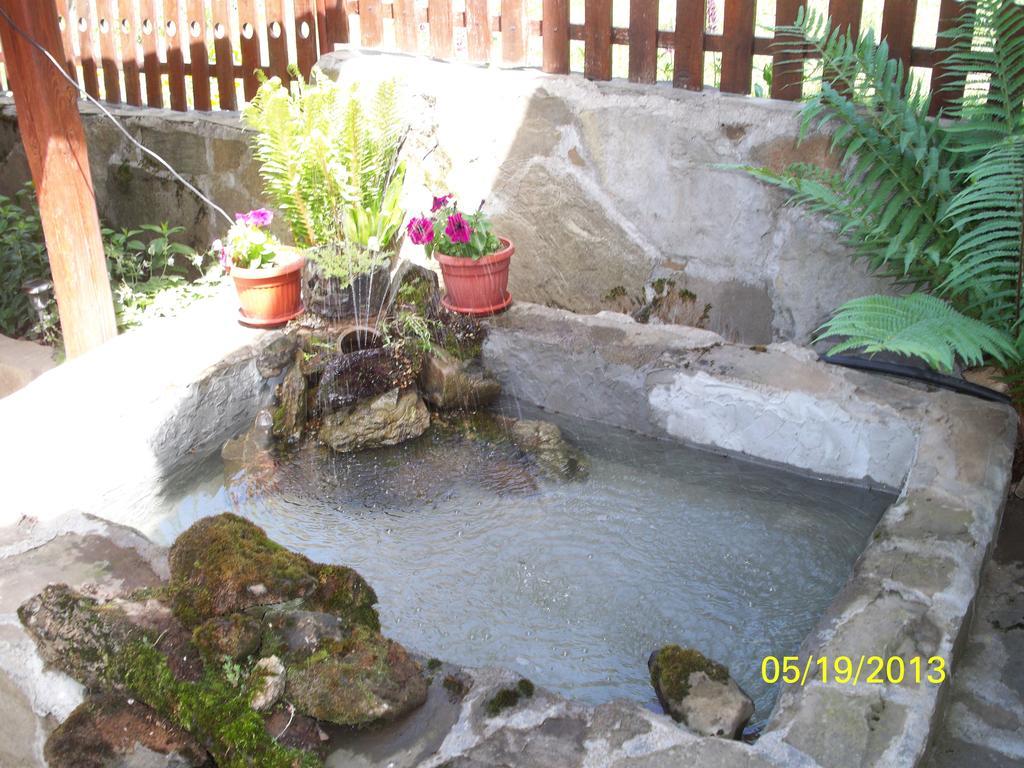 Guest House Lazar Raykov Ribaritsa Dış mekan fotoğraf