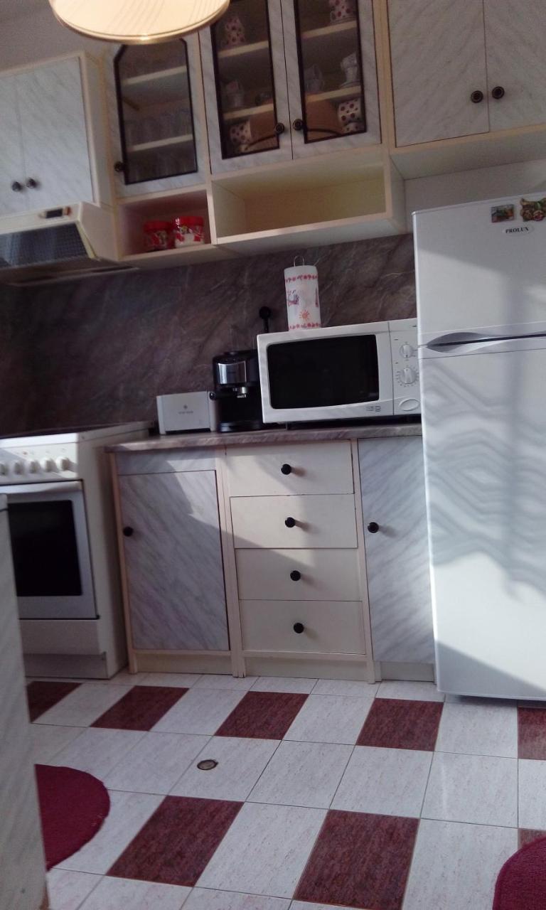 Guest House Lazar Raykov Ribaritsa Dış mekan fotoğraf